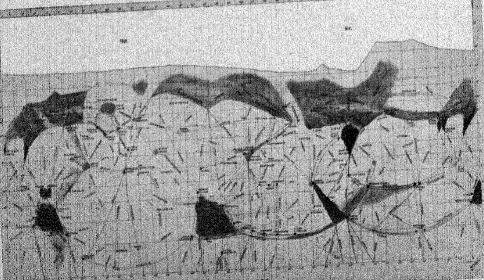 Carte de Mars réalisée par Percival Lowell en 1905